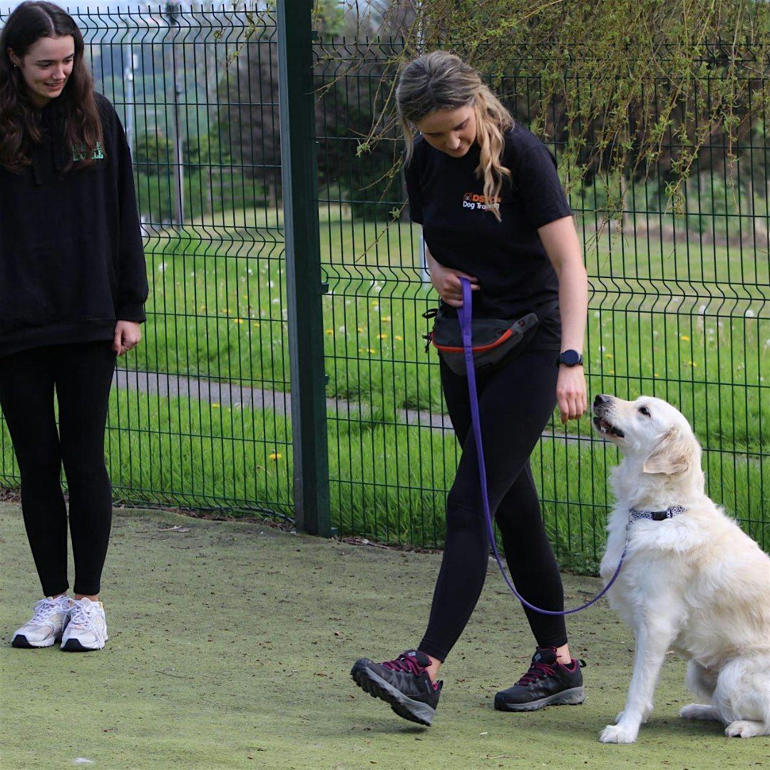 Well Behaved Walkies Masterclass,  Sunday @ DSPCA, Rathfarnham