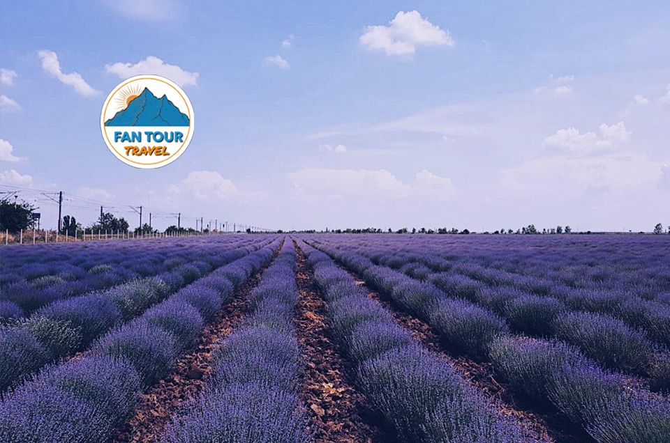 EXCURSIE 1 ZI GRADINA DE LAVANDA- CASTELUL IULIA HASDEU