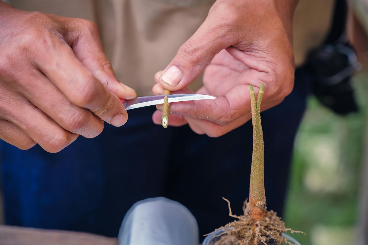 Growing Fruit, Hardwood Cuttings, and Grafting Workshops