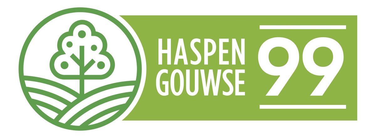 Haspengouwse 99