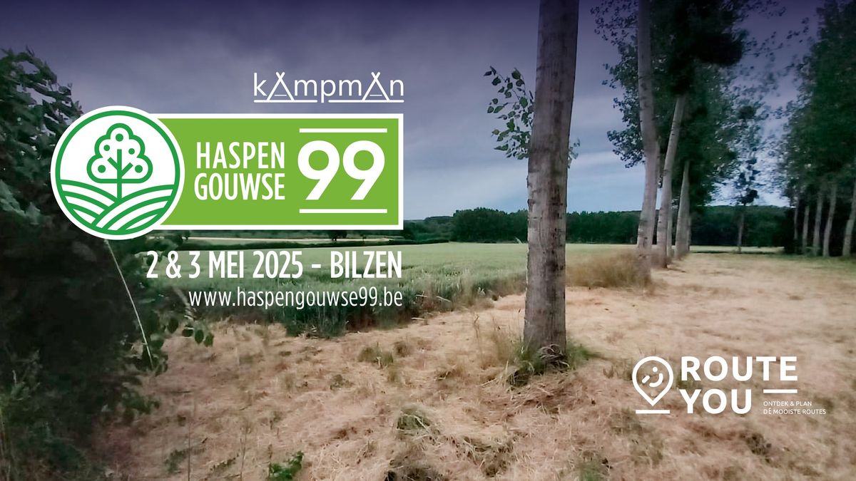 Haspengouwse 99