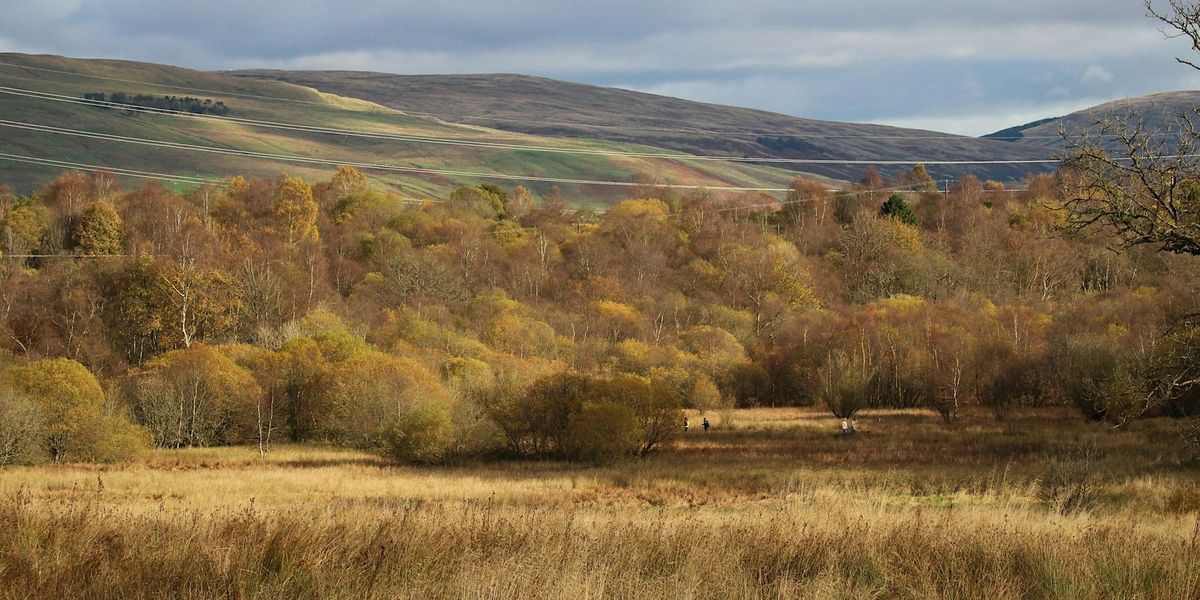 Mugdock Nature Explorers: Can you See Me?