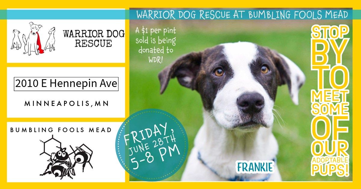 Warrior Dog Rescue at Bumbling Fools Mead