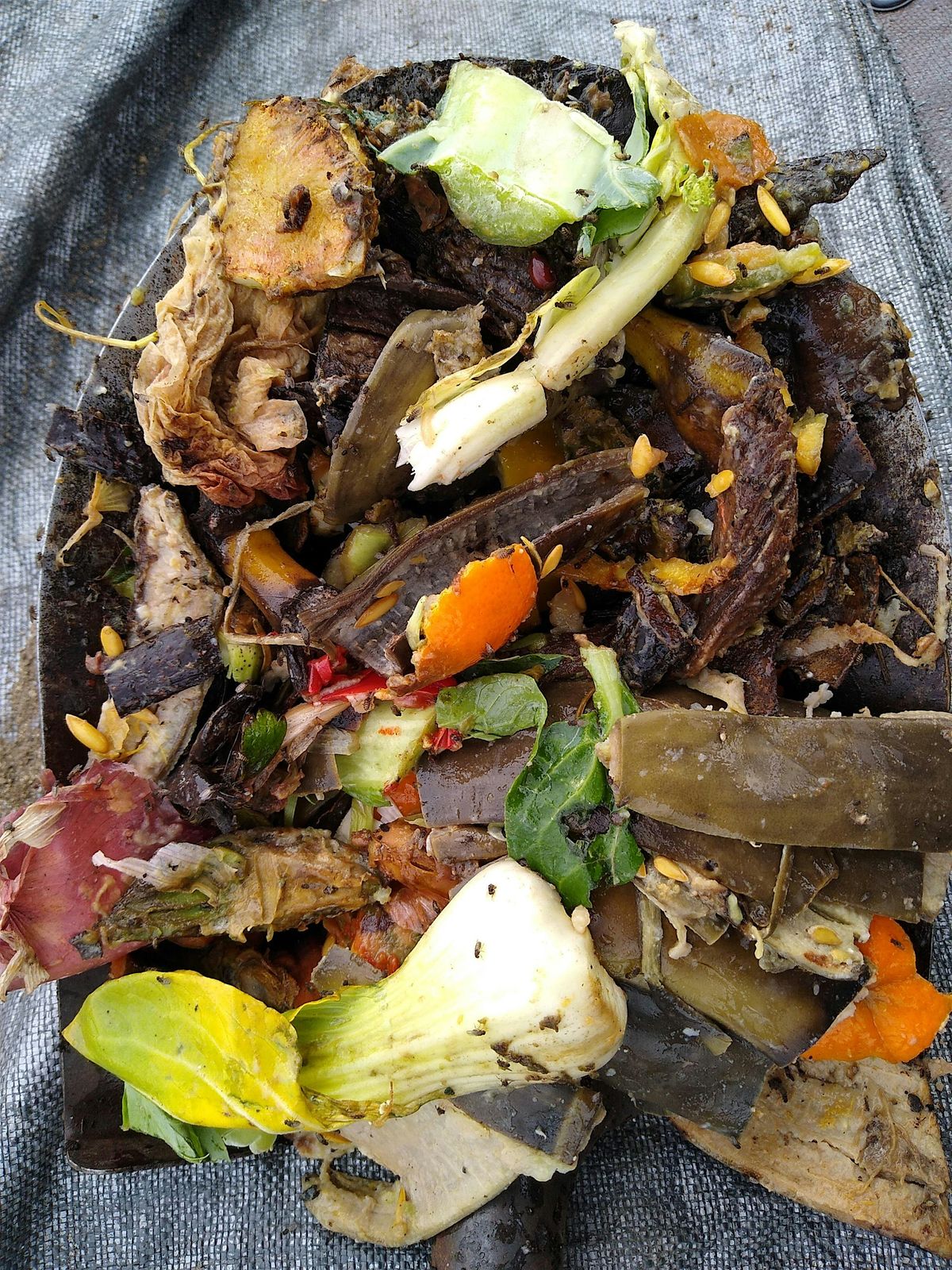 Wyckoff Farm Community Compost Giveback