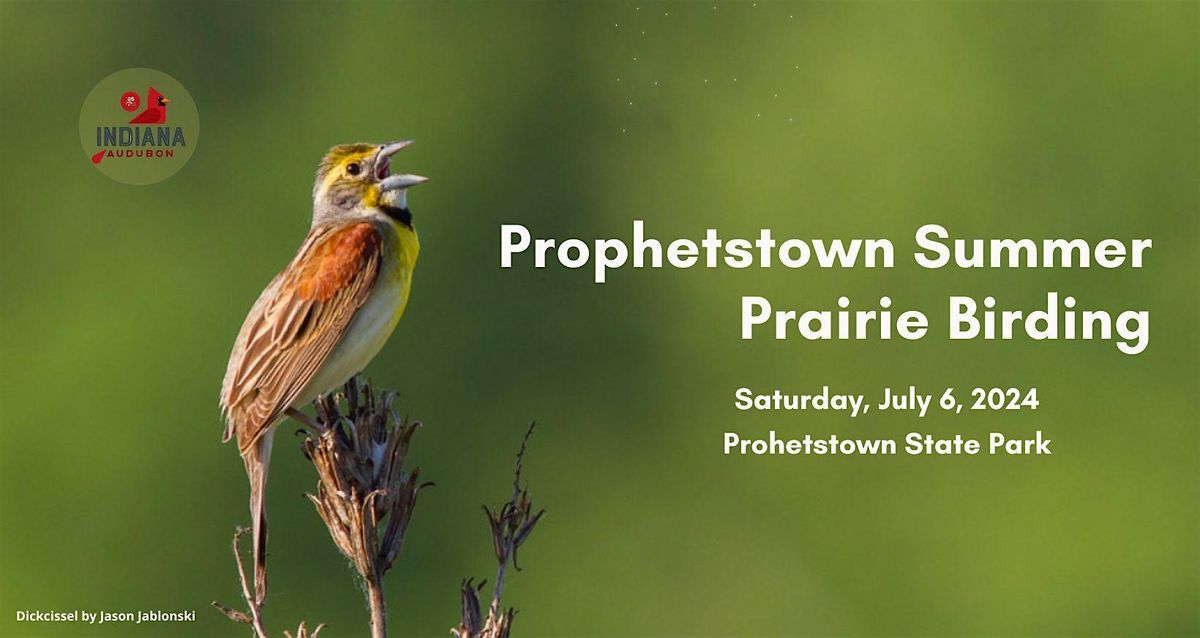 Prophetstown Prairie Birding Field Trip