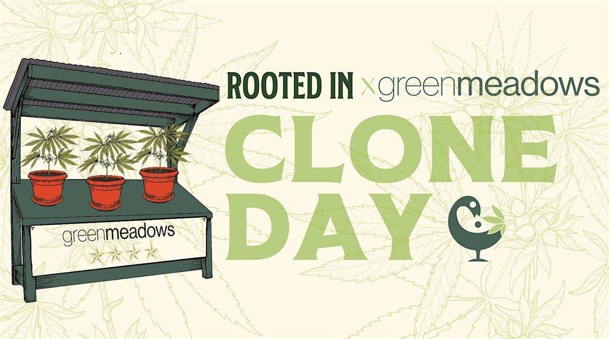 Clone Day at Open Newbury!