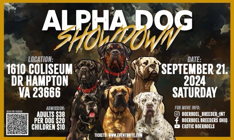 Alpha DOG Show Down   Drag to Reposition