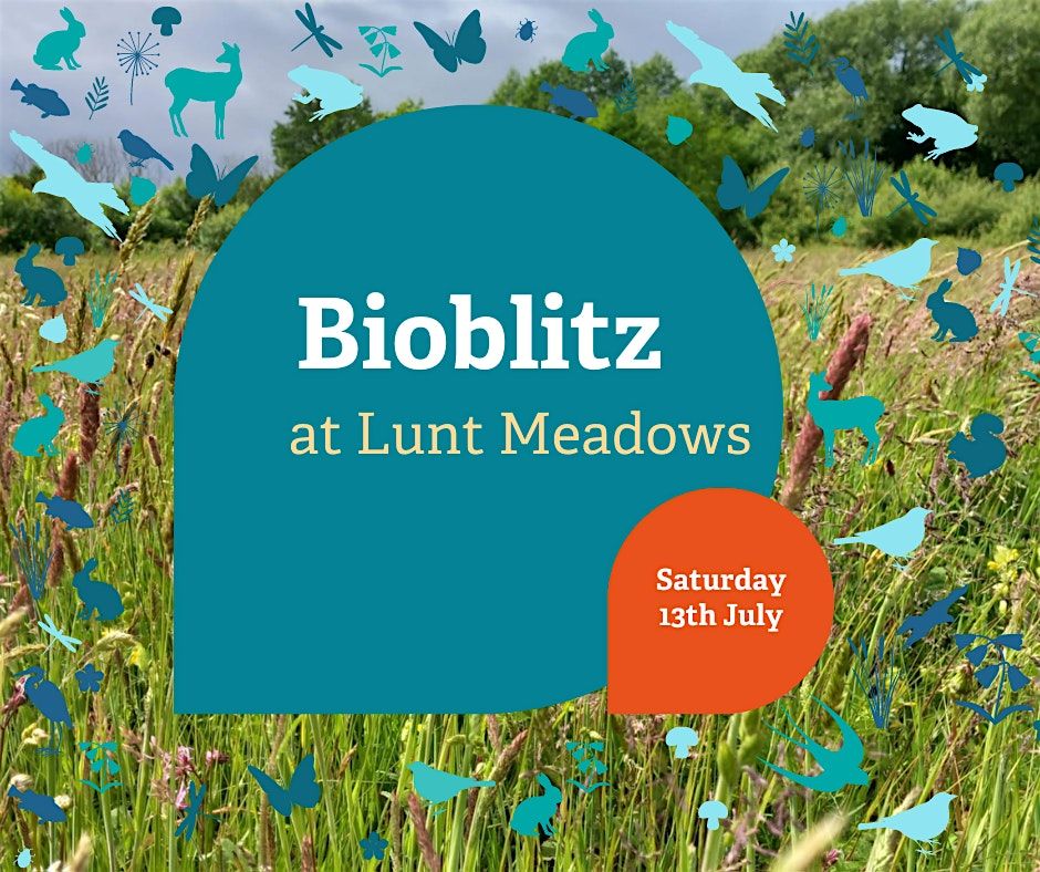 Bioblitz at Lunt Meadows
