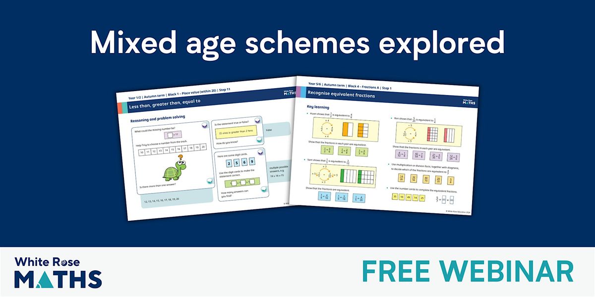 Primary mixed age maths schemes explored