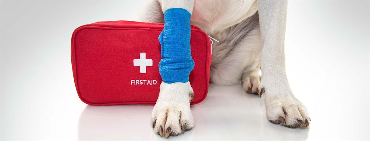 Pet First Aid - DSPCA Adult Education (Blended Online & In Person @ DSPCA)