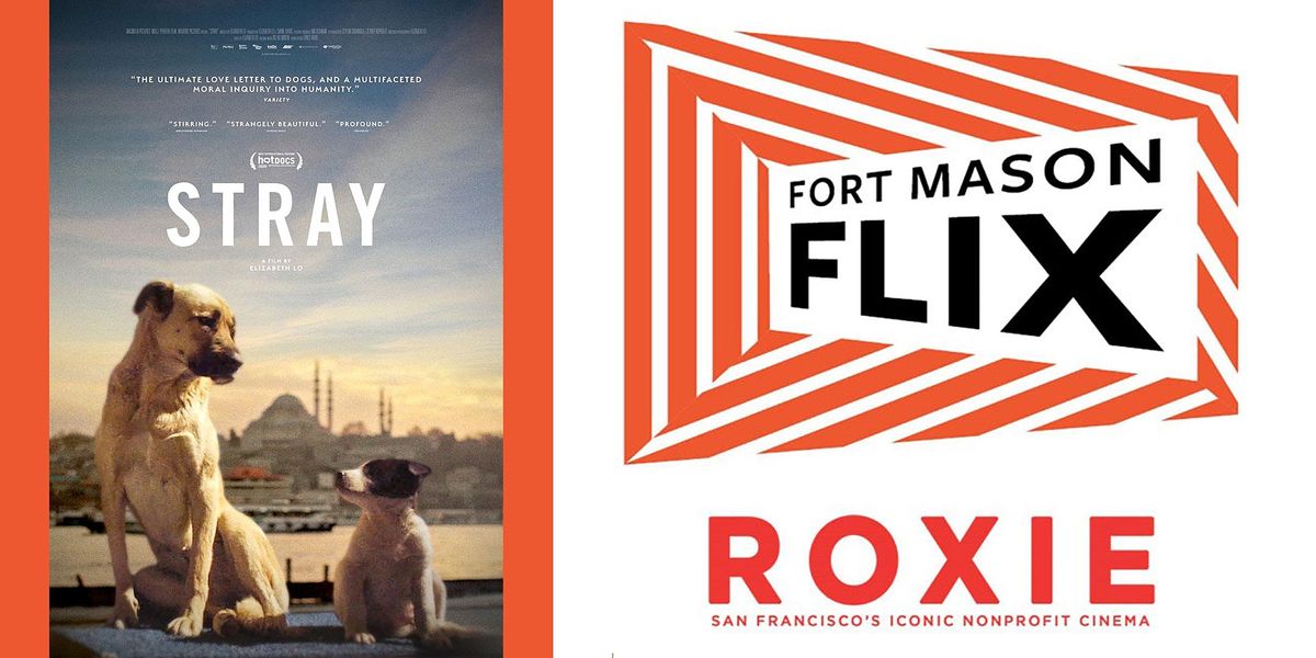 The Roxie Theater & FORT MASON FLIX: Stray