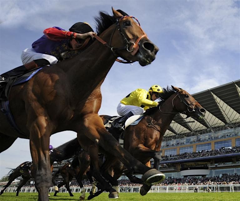 Royal Ascot Hospitality - Trackside Restaurant Packages 2024