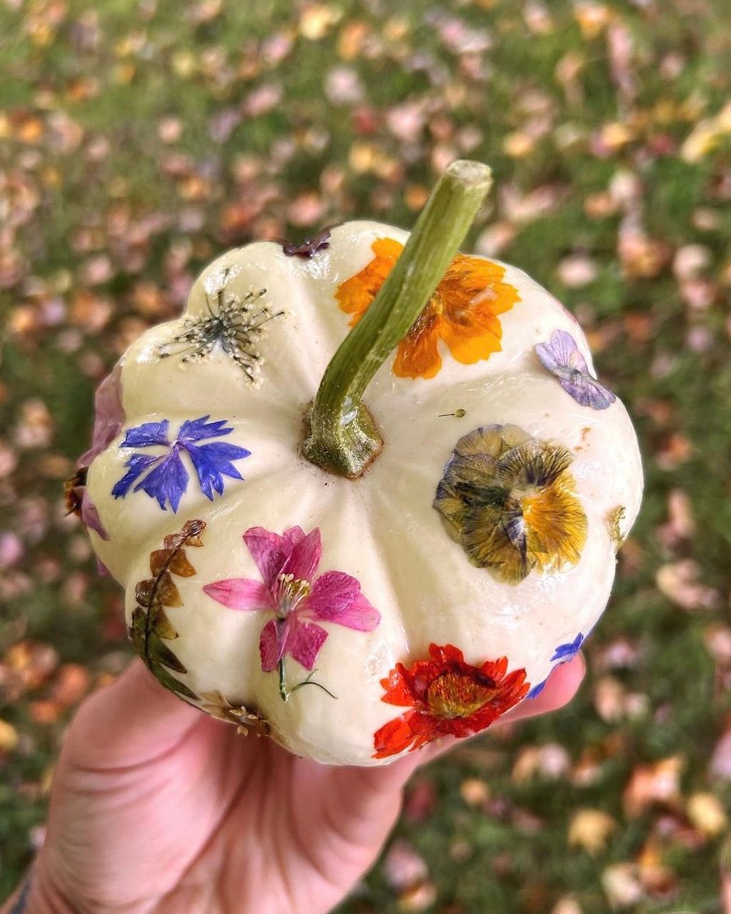 Pressed Florals on Frames OR Pumpkins 