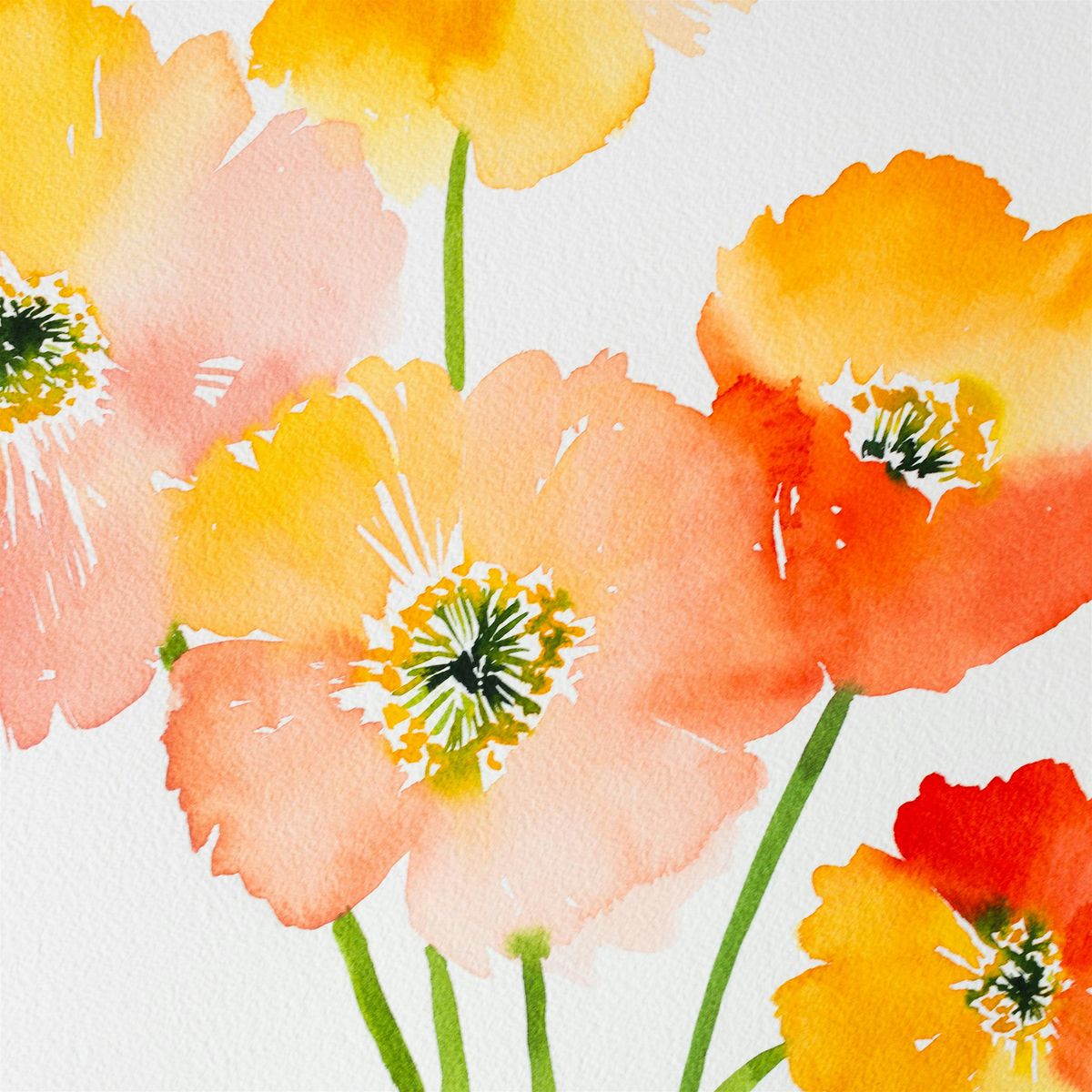 Workshop | Playful Poppies in Watercolor