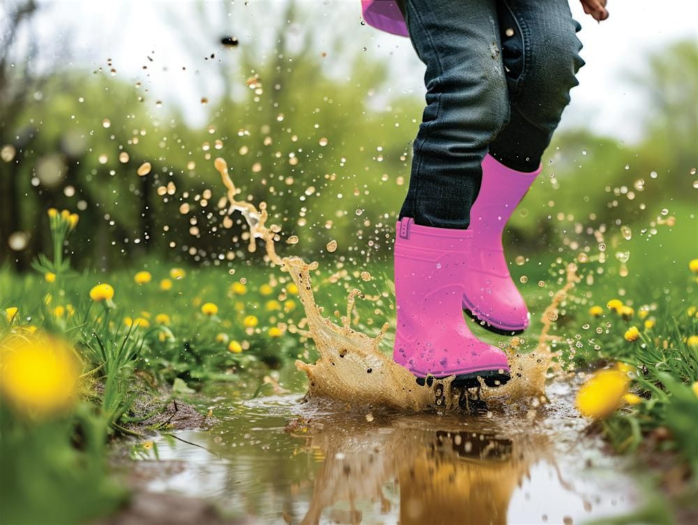 Inspirational women in agriculture and farm diversification