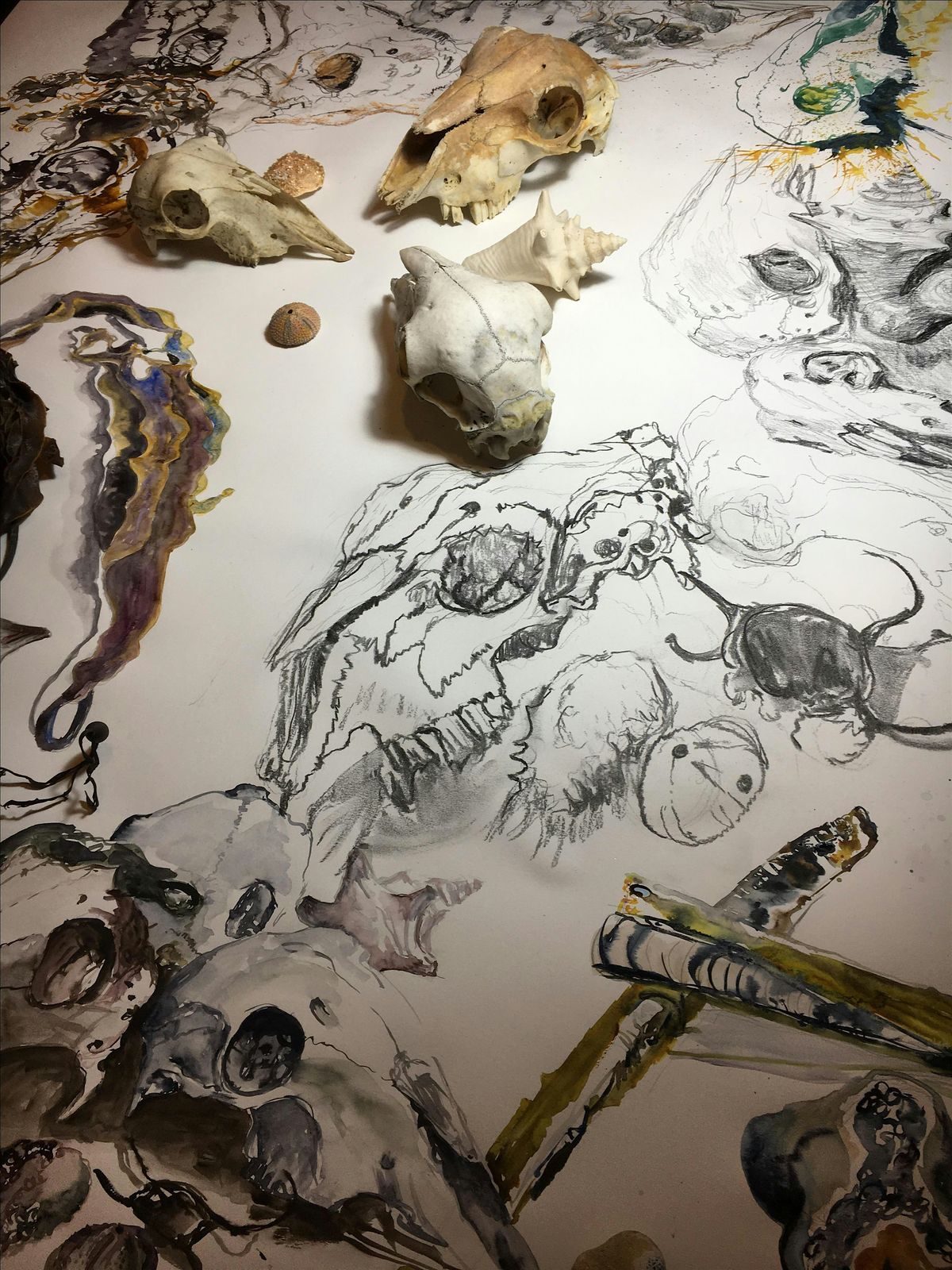 Skullduggery - A Secret Severn Arts Workshop