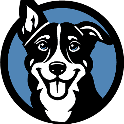 Resilient Rover Dog Training & Photography