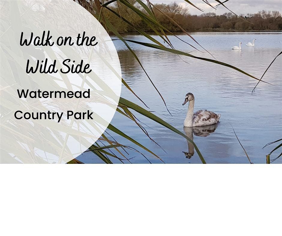 Walk on the Wild Side - Watermead Park South