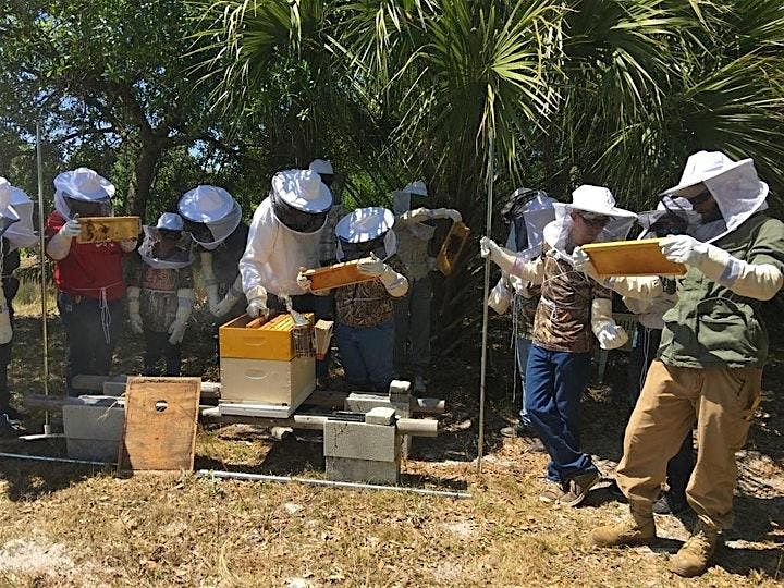 Intro to Beekeeping | Become a Beekeeper 2-day Hands-On Workshop