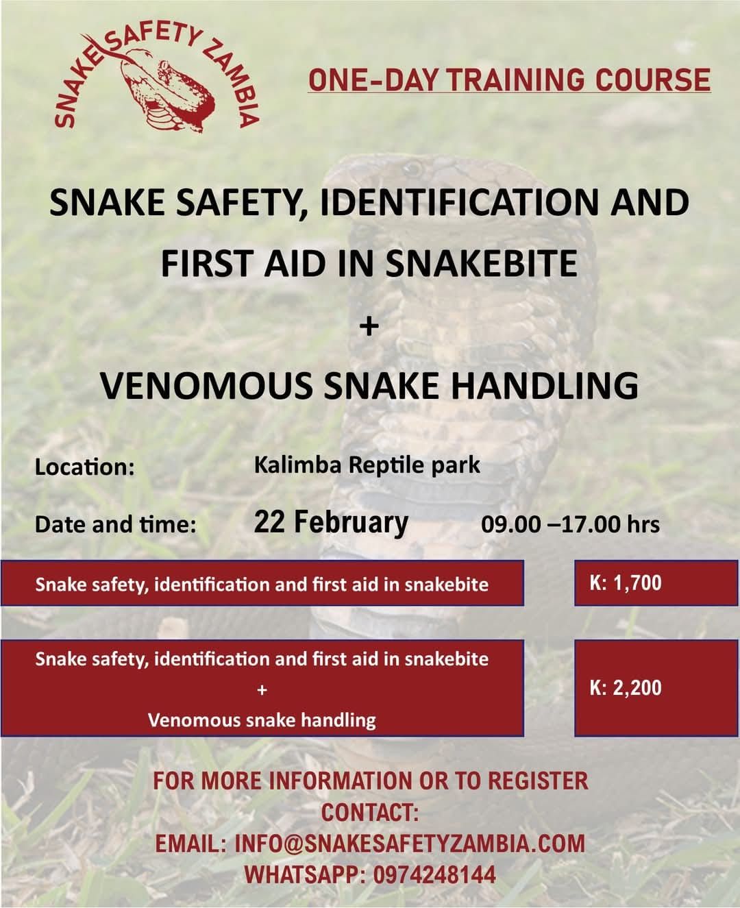 Snake Safety, Identification and first aid in snake bite + Venomous Snake Handling 