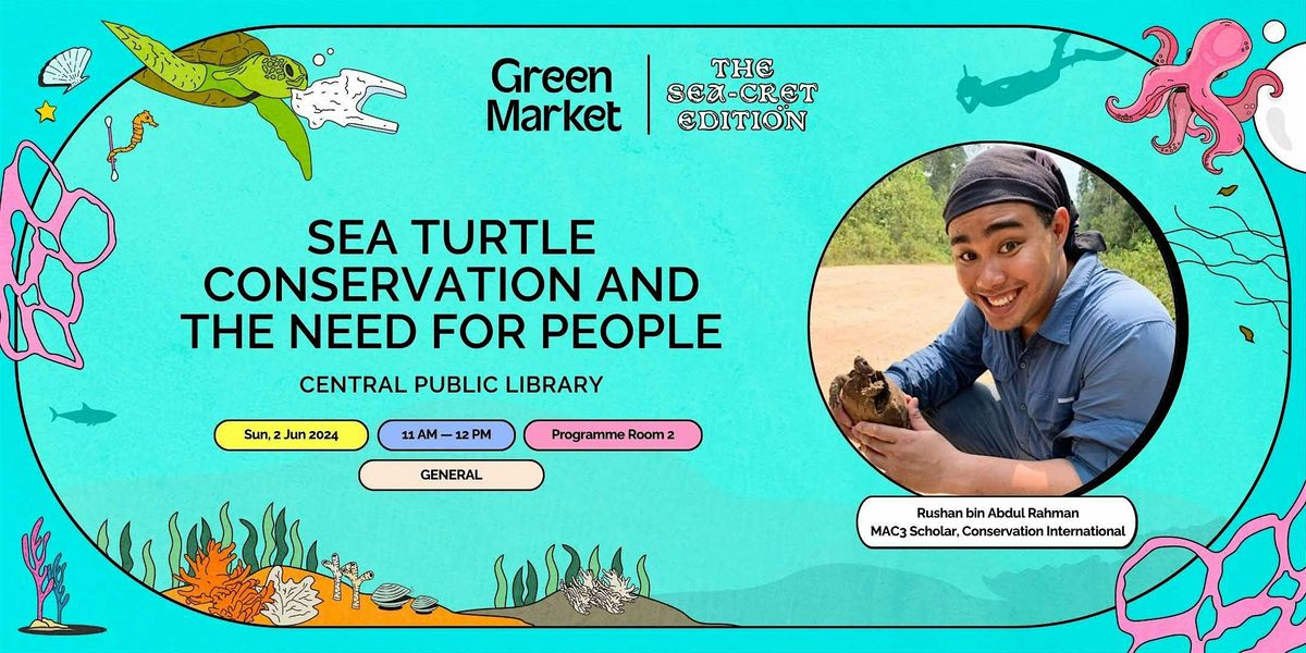 Sea Turtle Conservation and The Need for People | Green Market