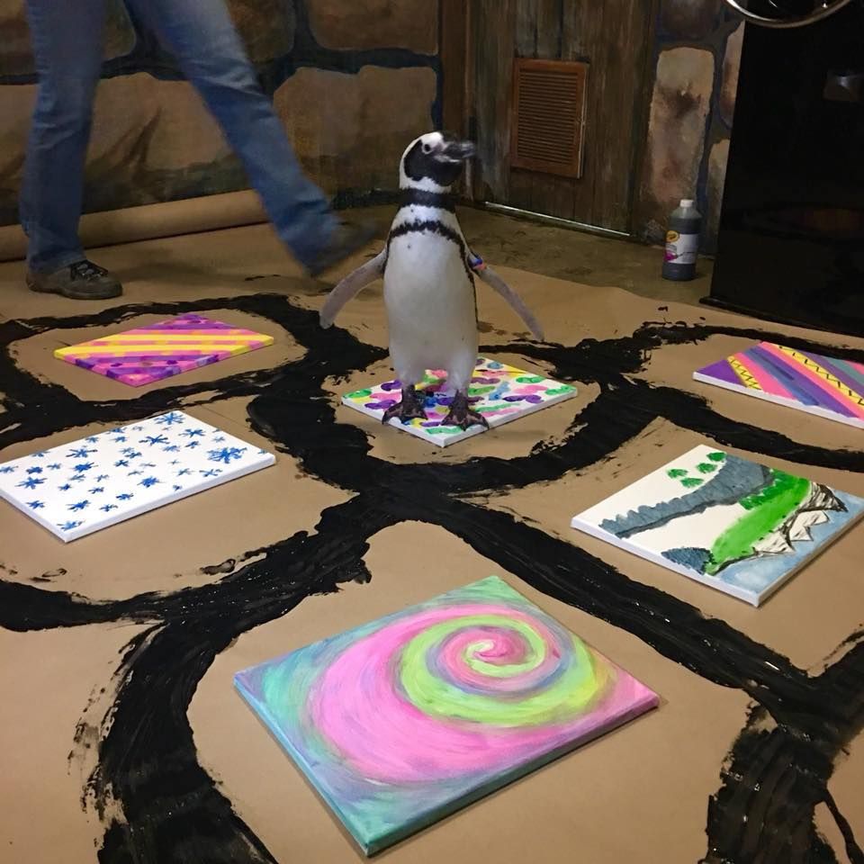 Paint with Penguins (Adults Only)