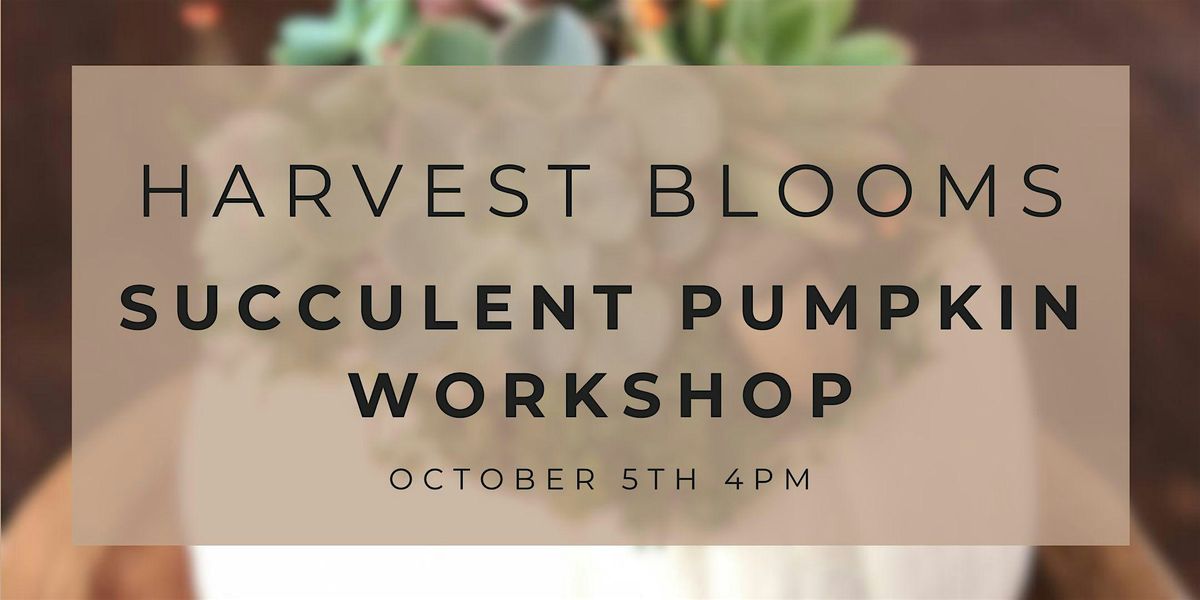 Harvest Blooms: Succulent Pumpkin Workshop