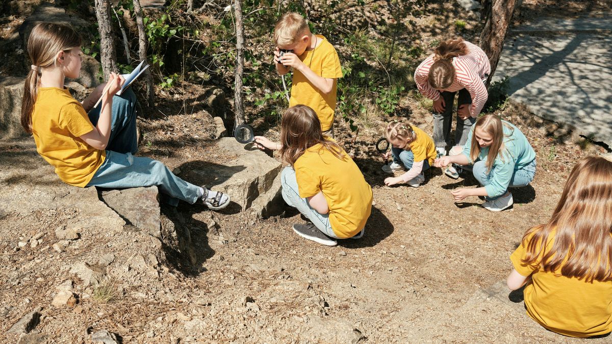 Bug Hunt at Undercliffe Cemetery