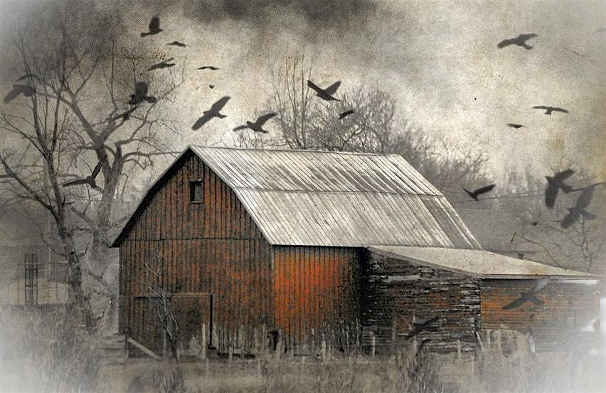 Udderly Terrifying Tales!  haunted barn