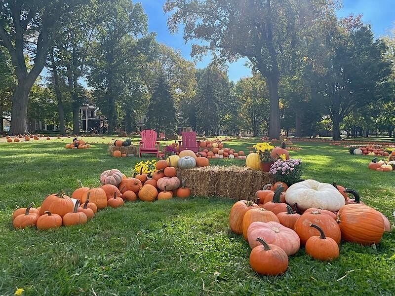 Pumpkin Point on Governors Island