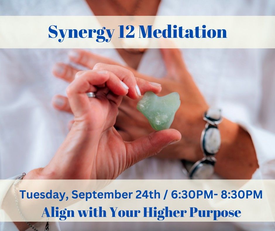 Synergy 12 Meditation