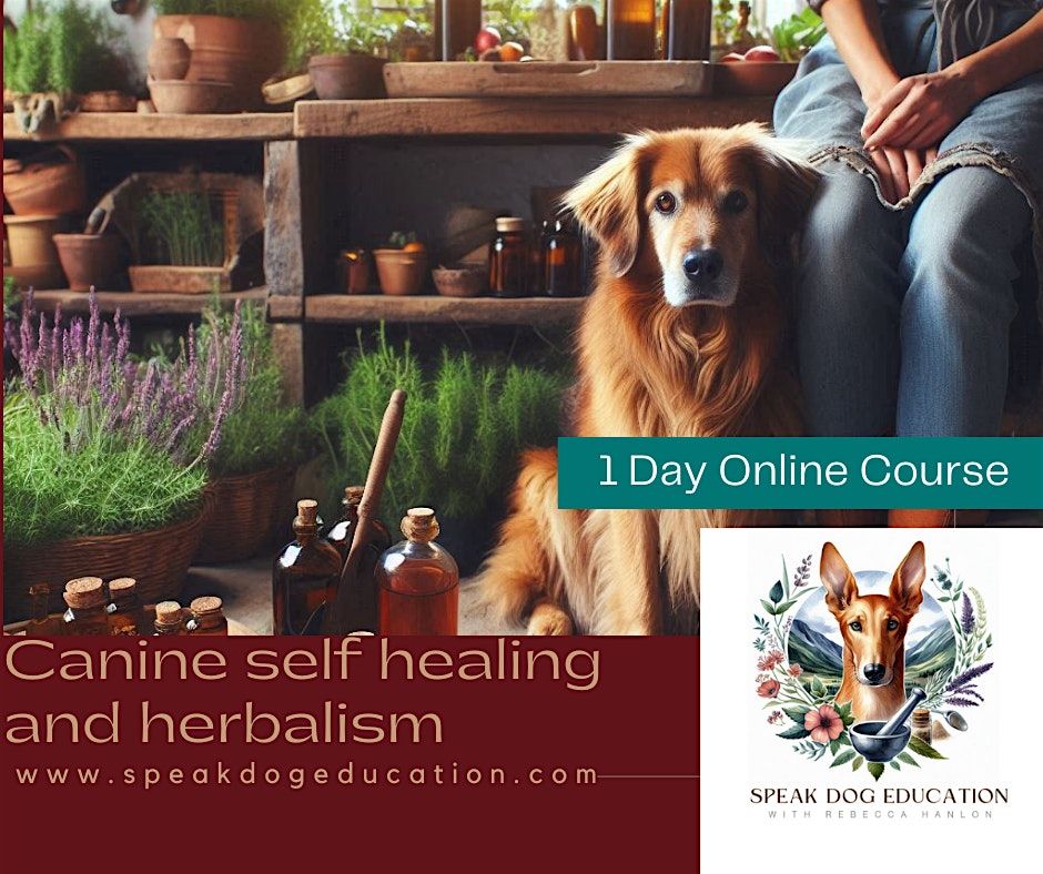 Canine Self Healing and Herbalism