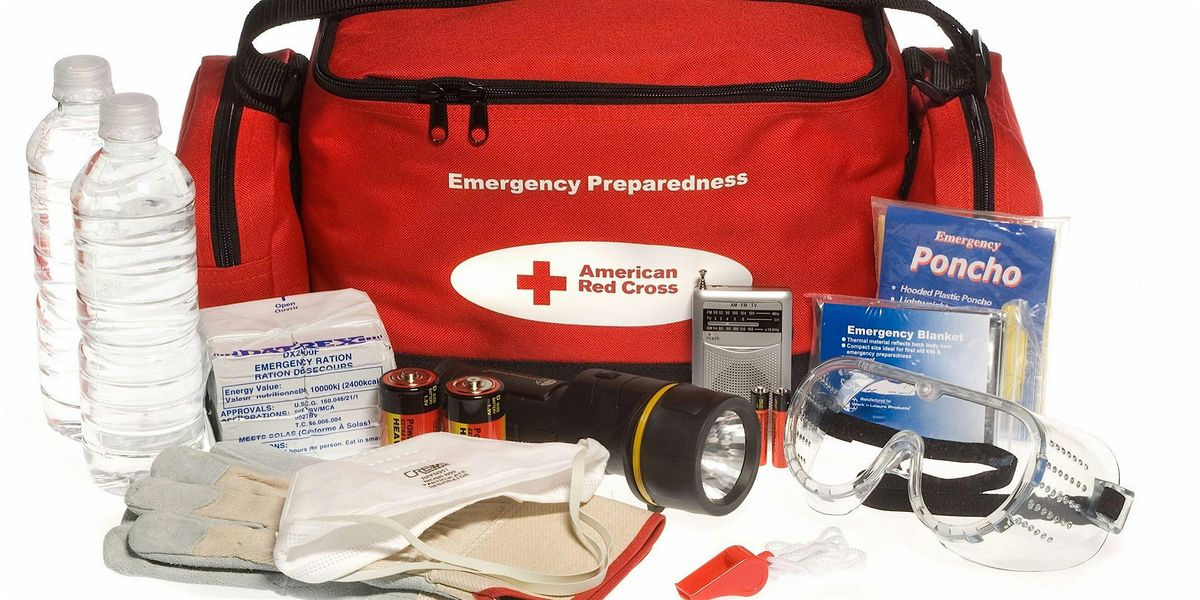 Disaster Preparedness (webinar)