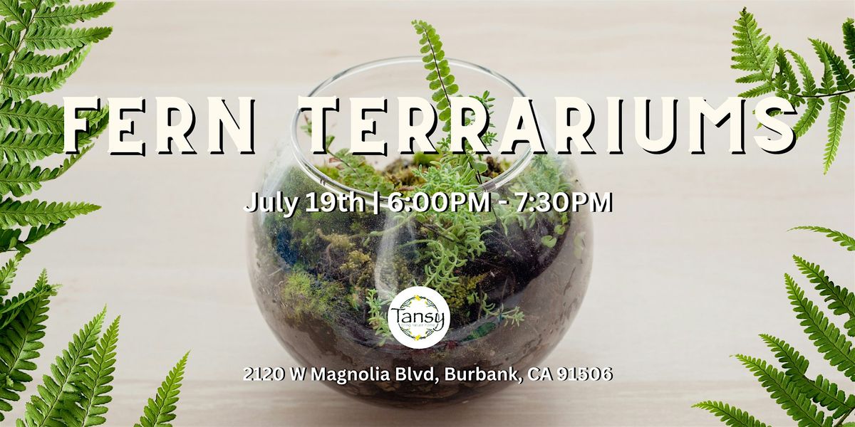 Fern Terrariums at Tansy