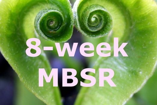 8-week Mindfulness Based Stress Reduction course