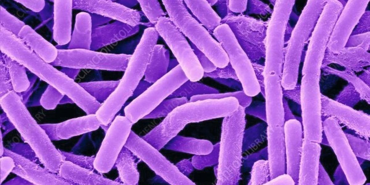 2022 Anthrax Tabletop Exercise (TTX), Desert Willow Conference Center