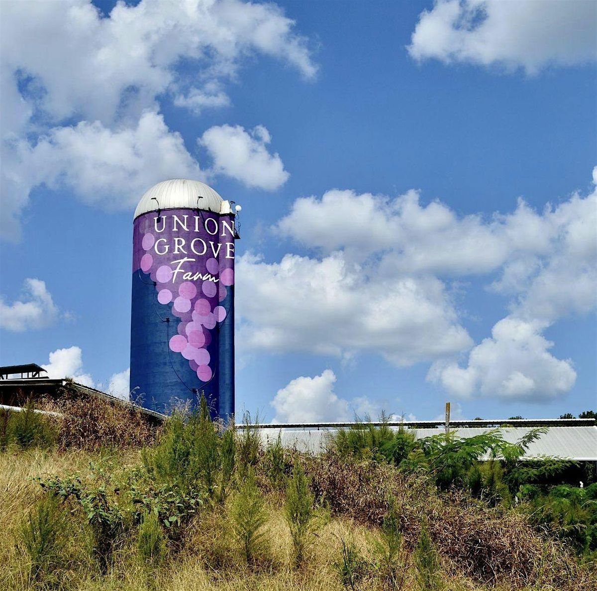 Regenerative Farm and Vineyard Tour