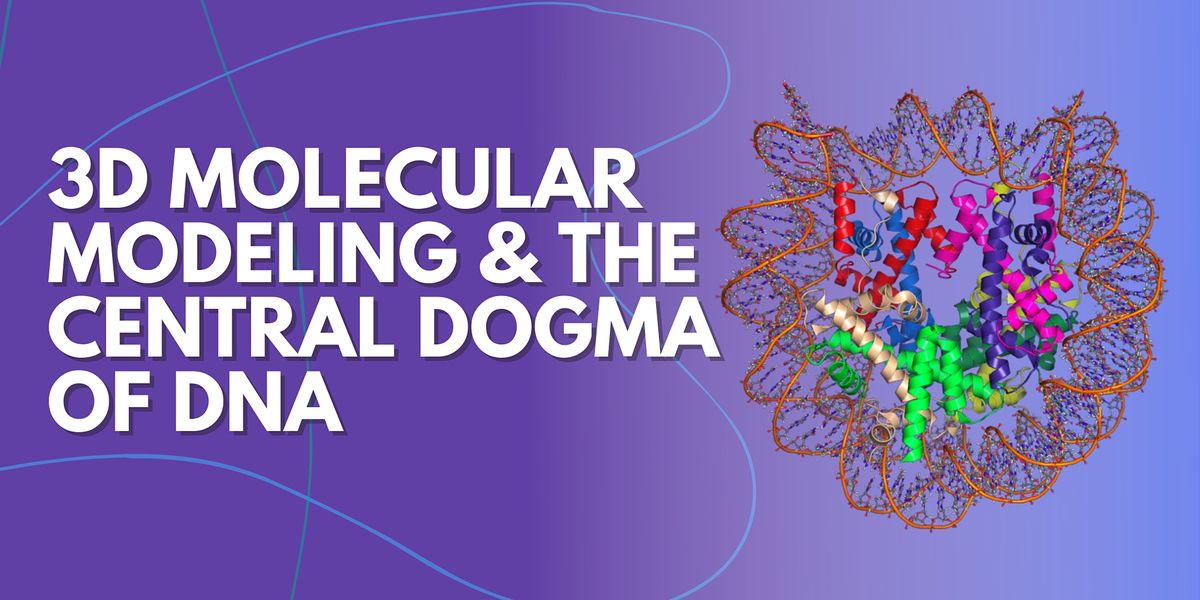 3D Molecular Modeling & the Central Dogma of DNA