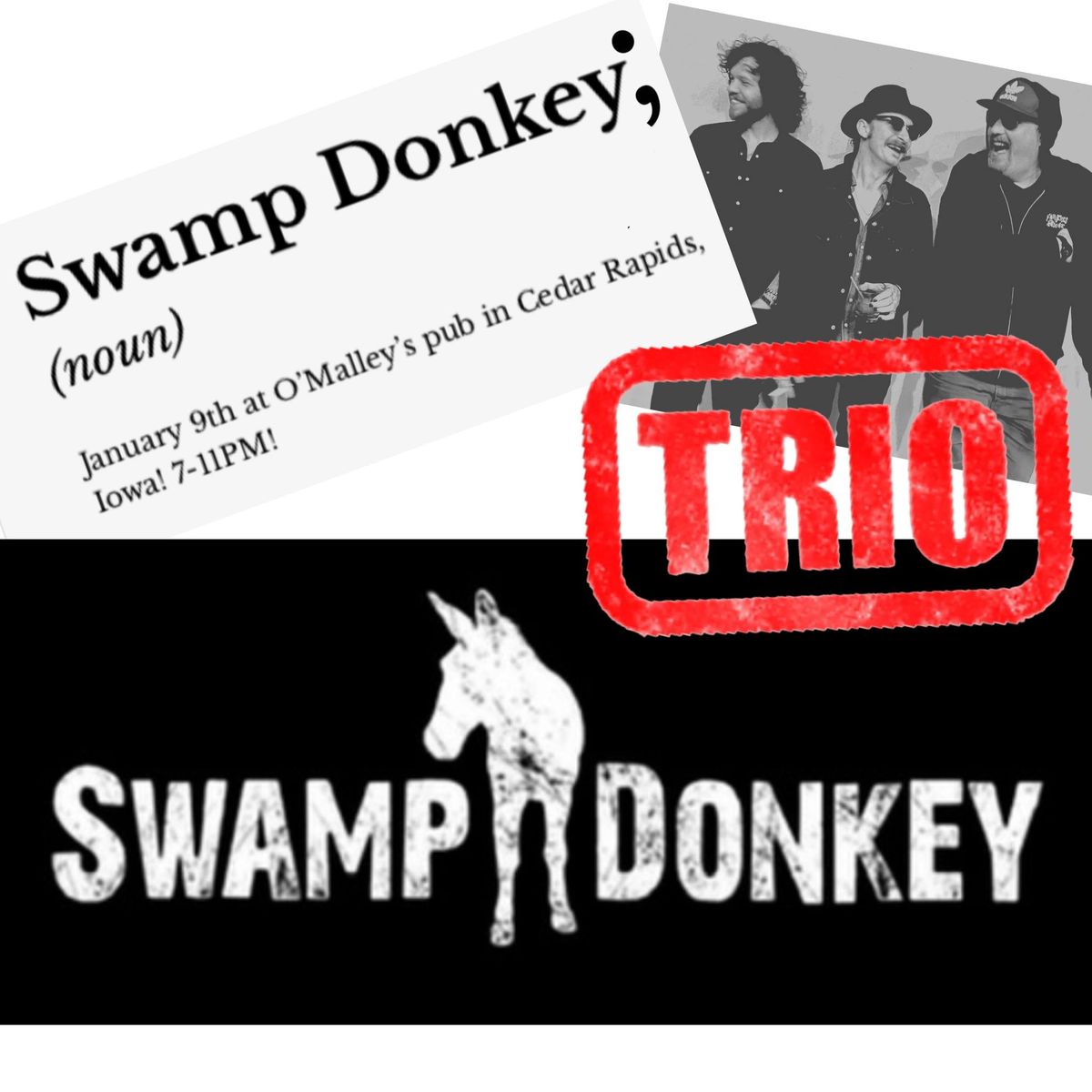 Swamp Donkey Blues Night