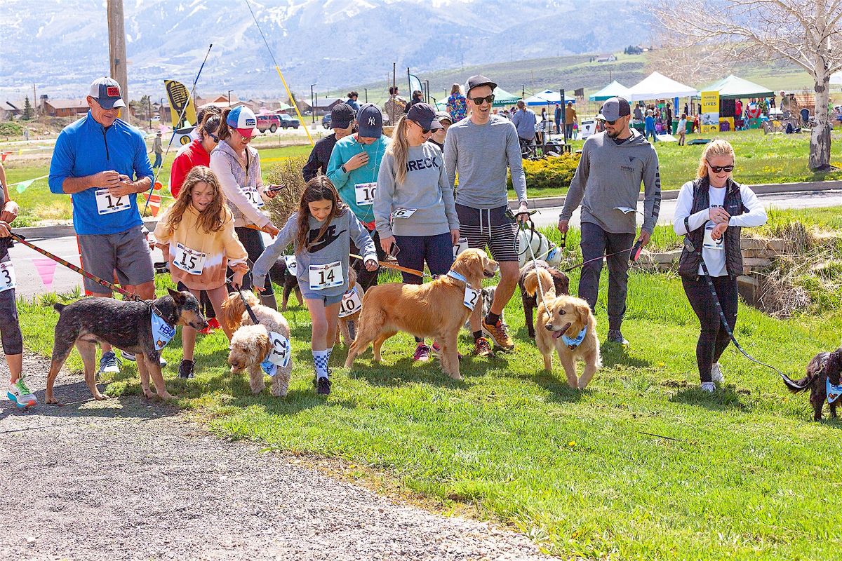 2024 Chase Away Canine Cancer - Dirty Dog 5K