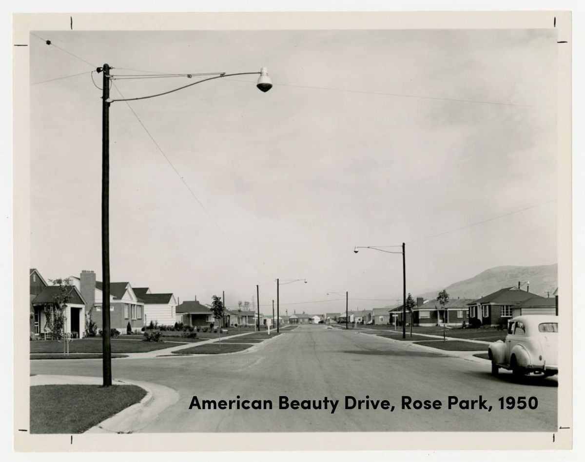 Rose Park Homes Tour