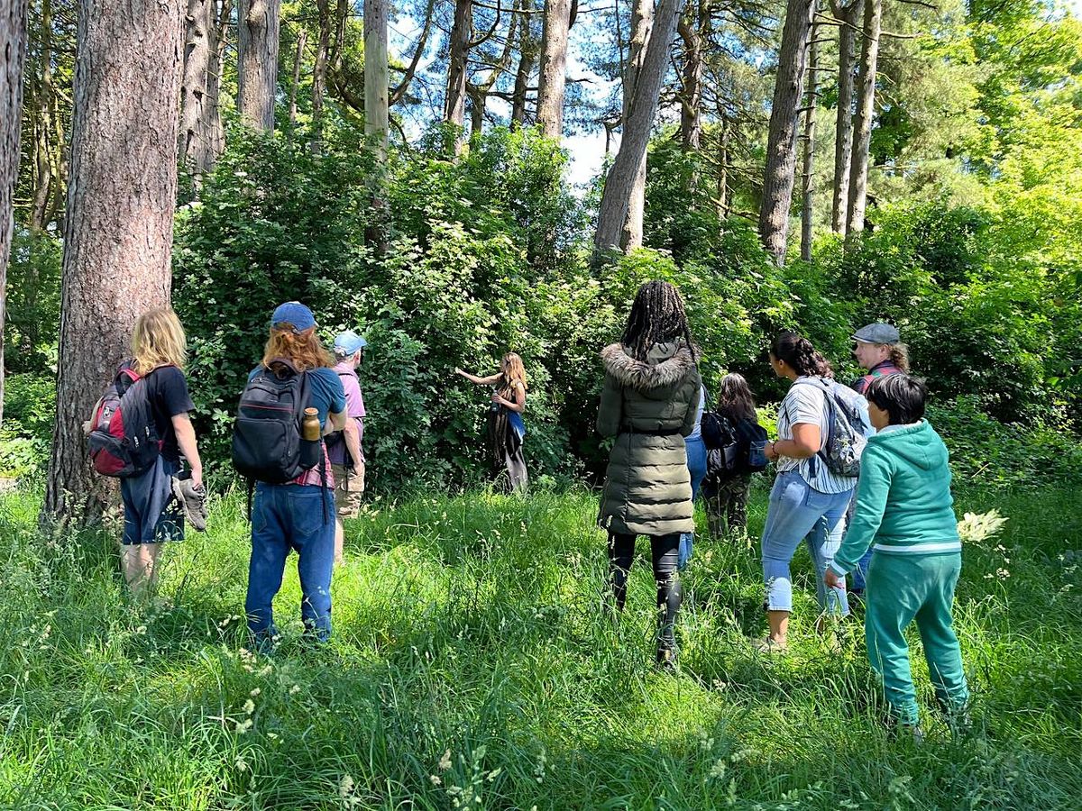 Autumn Medicinal Herb Walk