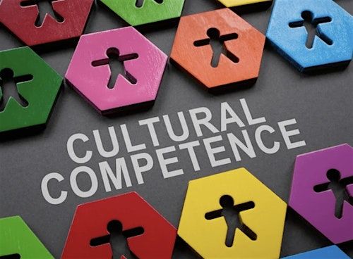 Professional Certificate in Cultural Competence - January 2025 class