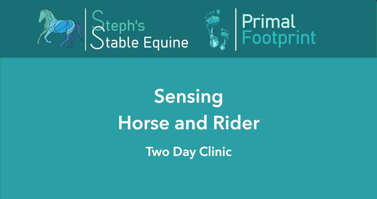 Sensing Horse and Rider Two Day Clinic - Kangaroo Ground