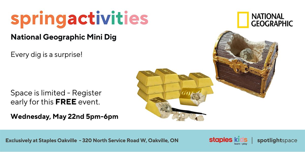 National Geographic Treasure Mini Dig Kit at Staples Oakville