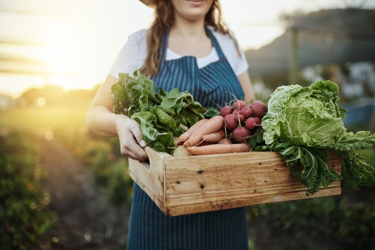 Community Night: Companion Planting for Edible Gardens