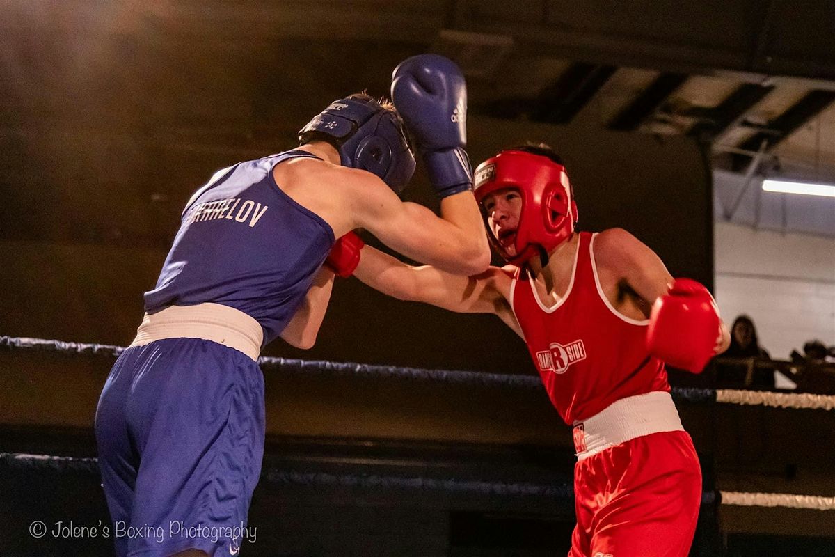 Night at the fights - Albion Boxing Club