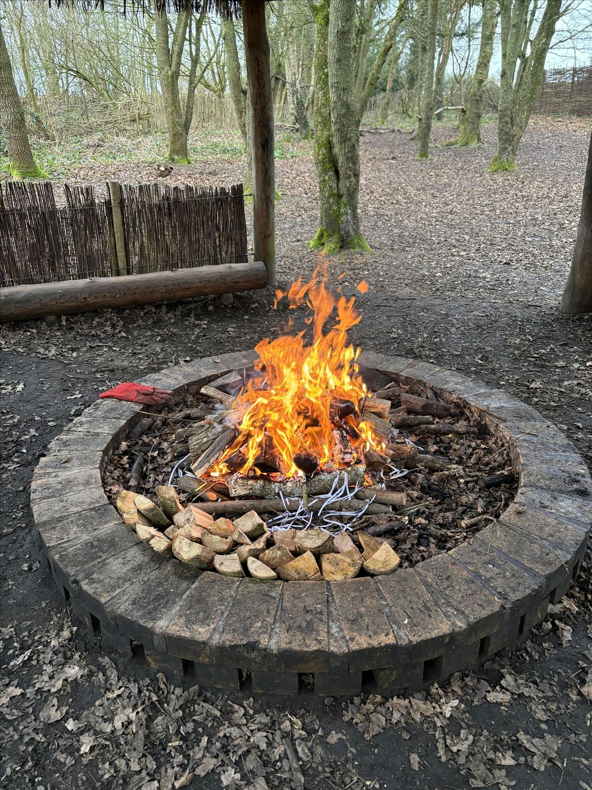 Family Christmas Campfire, S'mores & Dens at Ryton Pools Country Park
