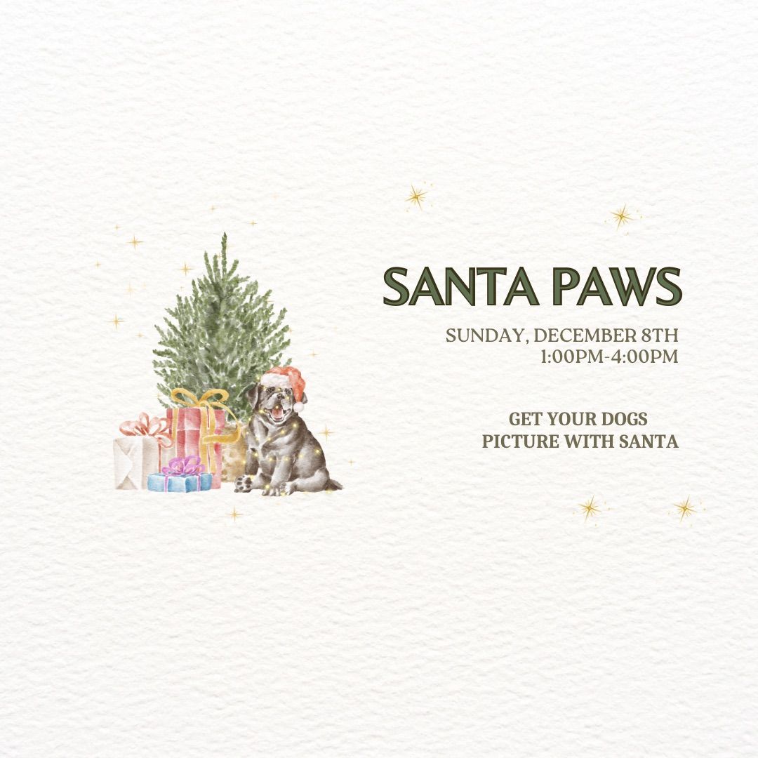 Nauti Dog\u2019s Santa Paws 