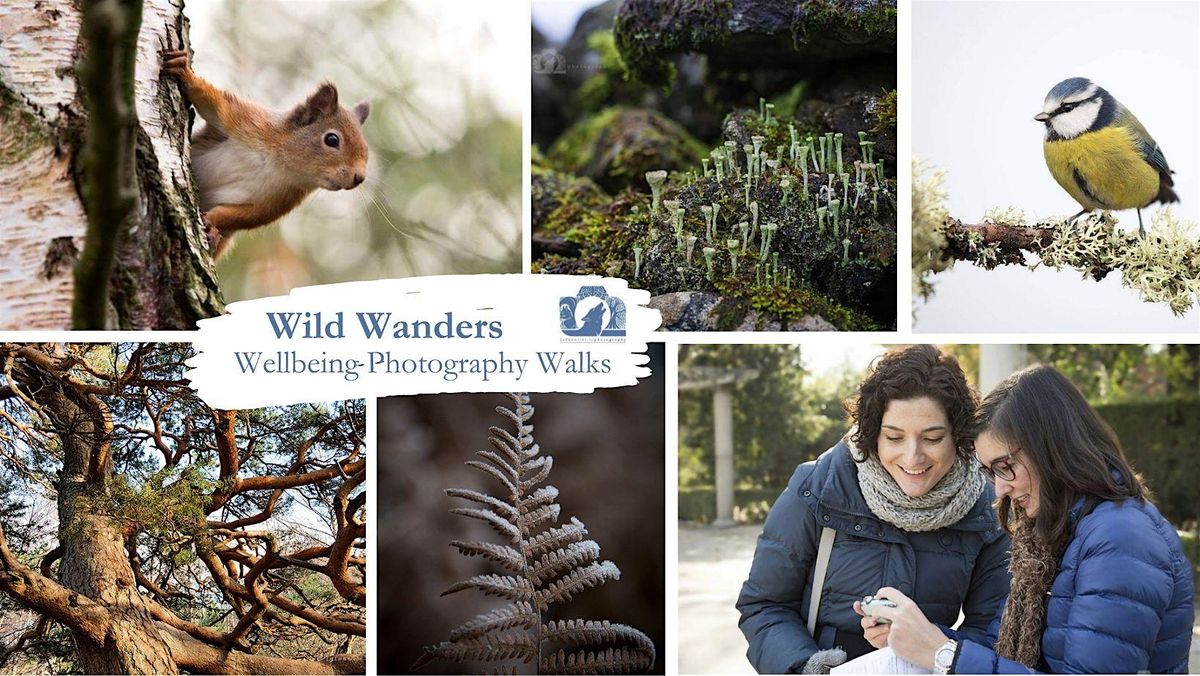 Wild Wanders - Wellbeing Photography Walk - Kinnoull Hill